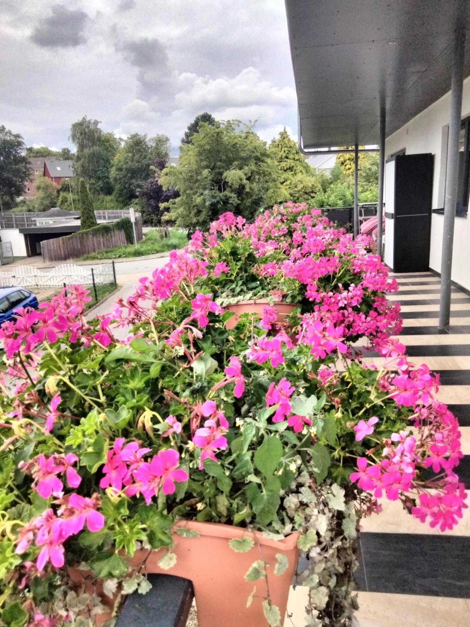 Komfort-Ferienwohnung mit Ostseeblick ,Entspannung Flensburg Exterior foto